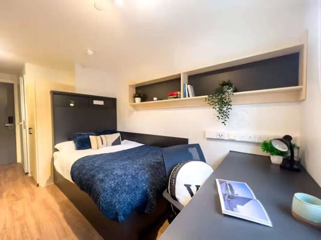 Bed with blue bedding desk with lamp and plant bedroom at Portsburgh Court in Edinburgh Student Accommodation
