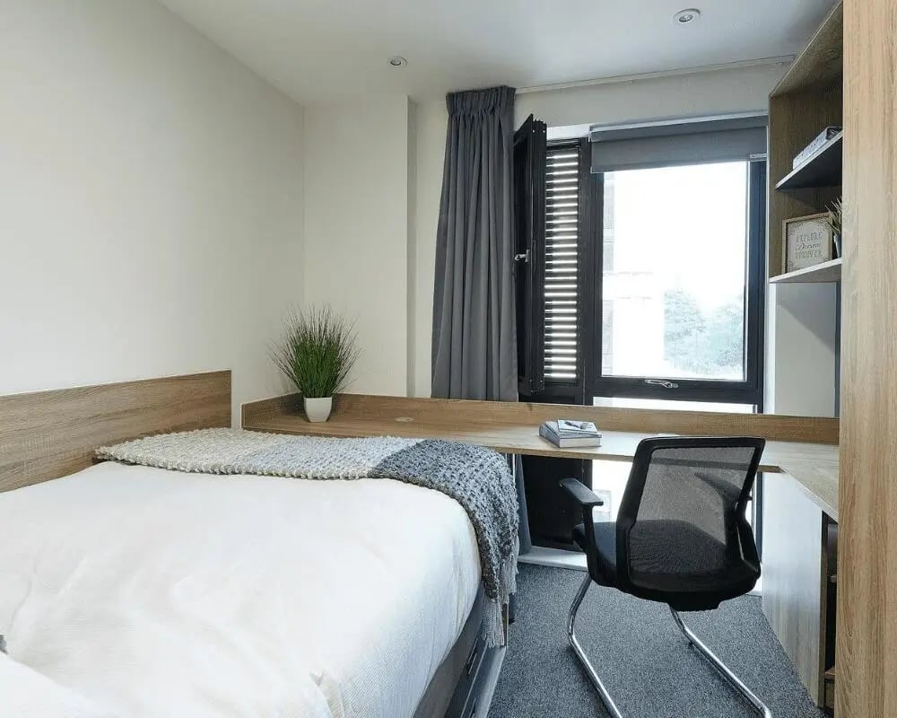 Bed desk chair plant window bedroom at Southampton Crossings in Southampton Student Accommodation