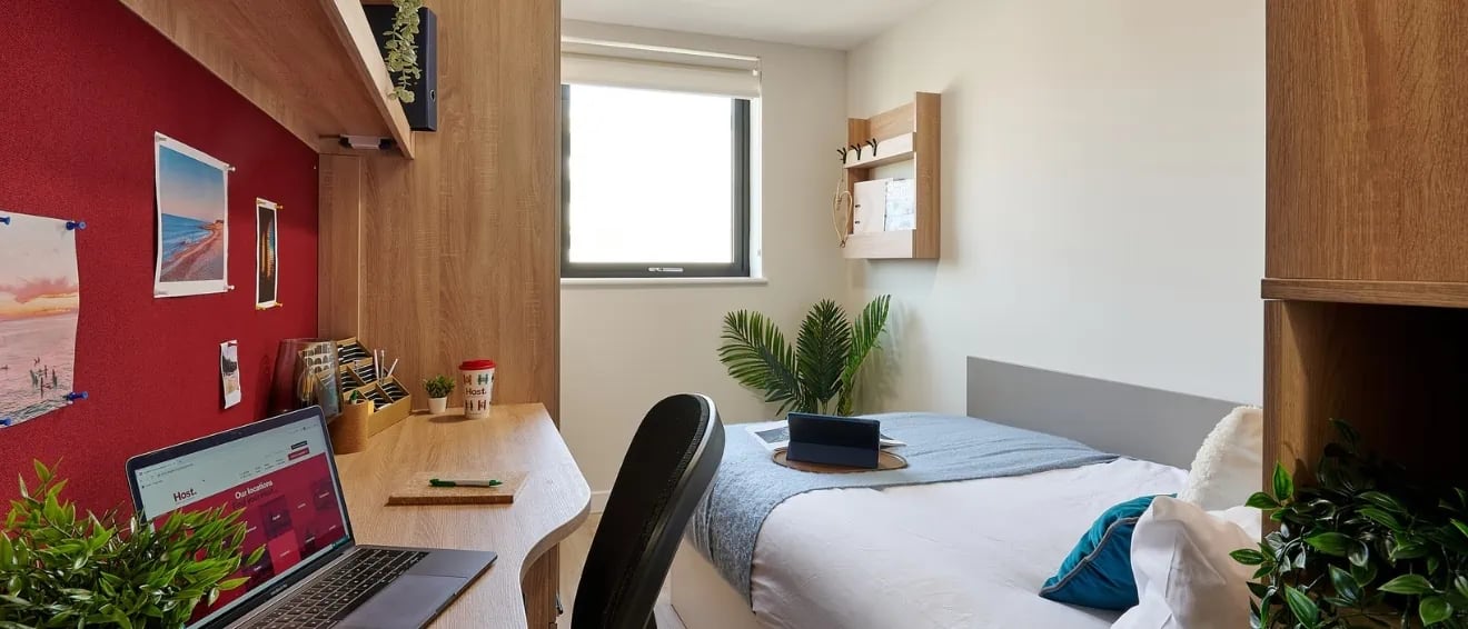 Desk laptop photos bed and plant bedroom at Christchurch Road in Bournemouth Student Accommodation