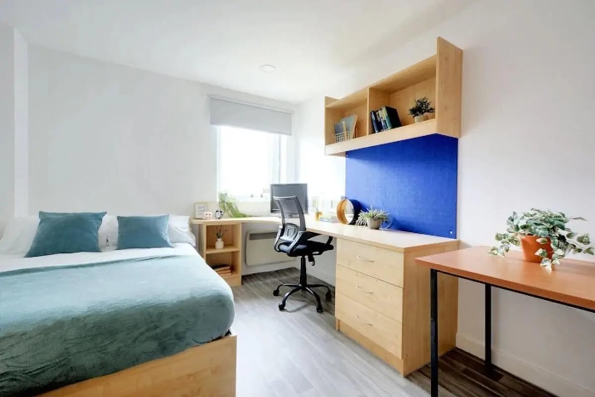 Bed desk chair shelves plants bedroom at Nottingham Two in Nottingham Student Accommodation