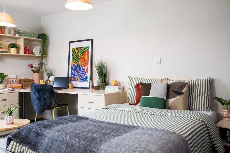 Bed desk shelves and colorful art Bedroom at Somerset Court in London Student Accommodation
