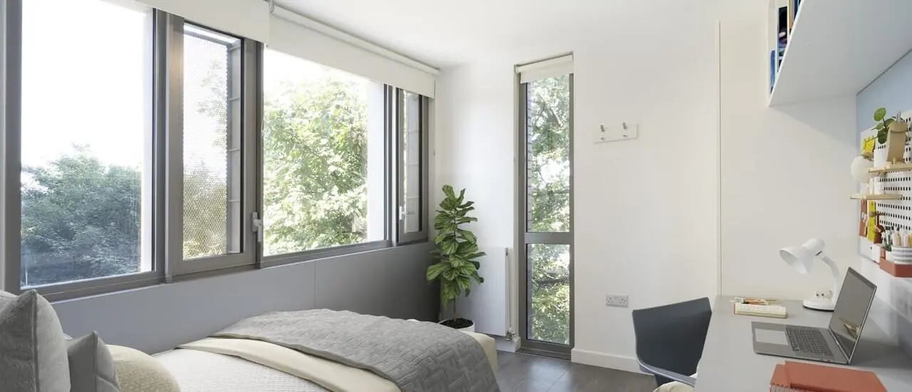 Bed desk chair plant large window bedroom at Chapter Lewisham in London Student Accommodation