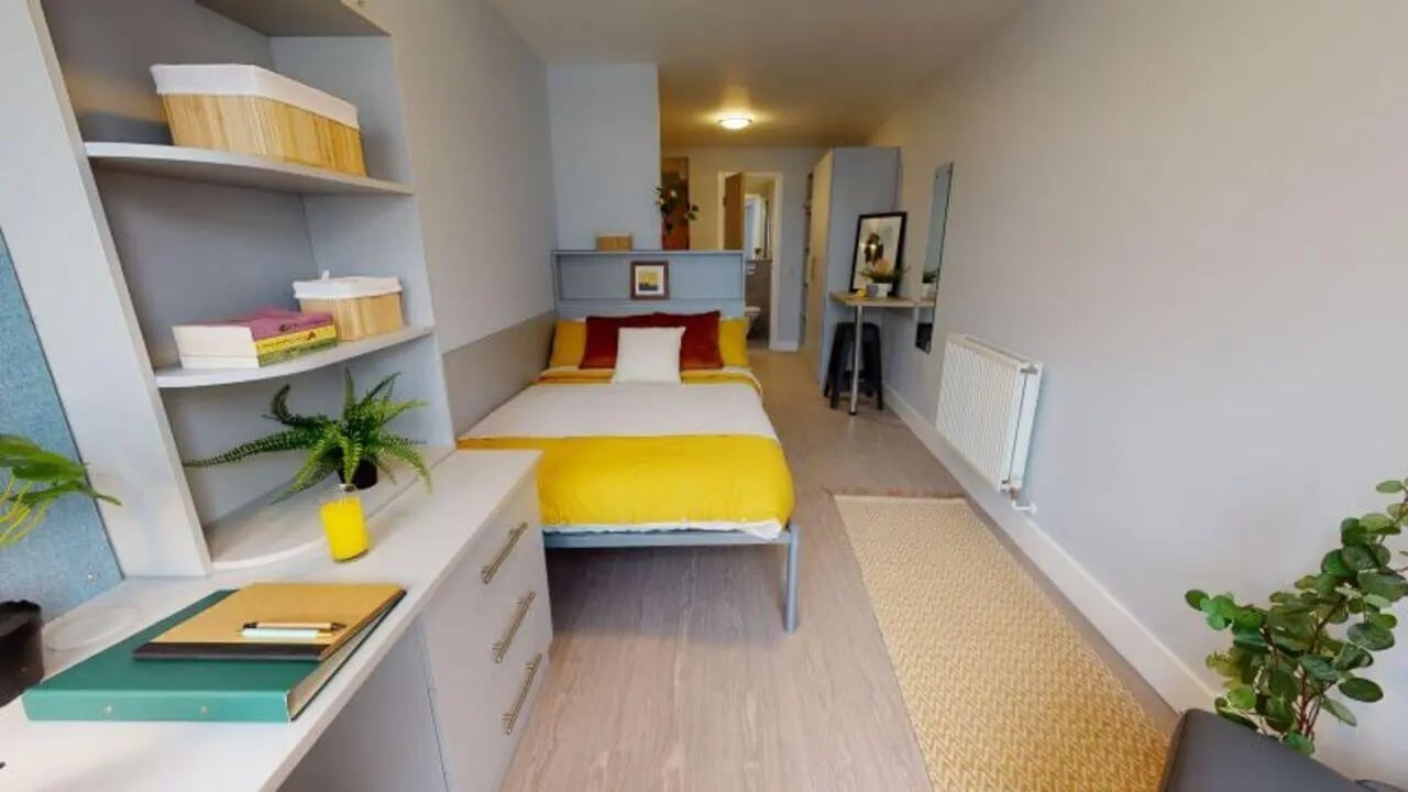 Bed shelves desk and plant bedroom interior at iQ Hoxton in London Student Accommodation