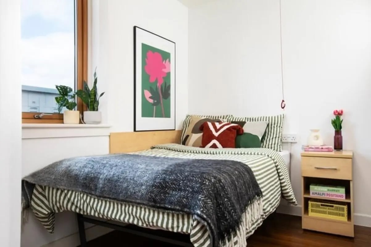 Bed plants art and bedside table bedroom at Pier Quays in Medway Student Accommodation