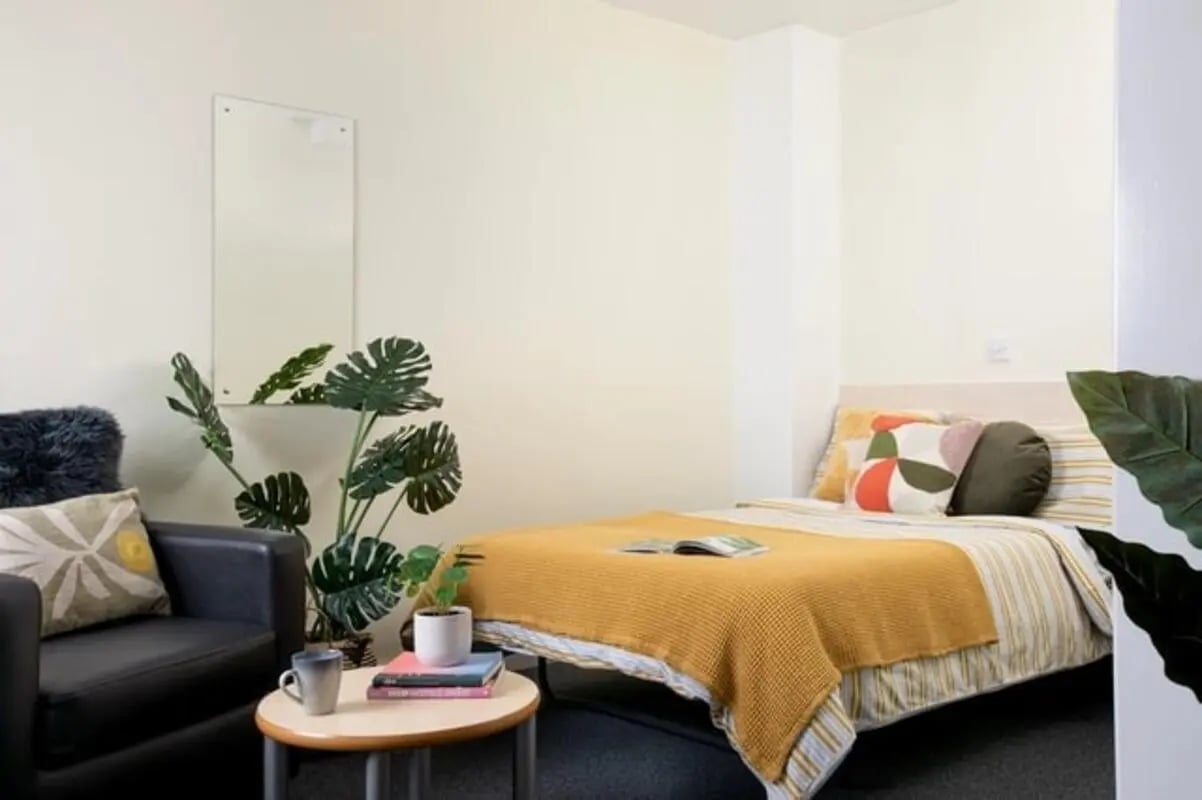 Bed armchair mirror plant books coffee cup bedroom at The Anvil in Sheffield Student Accommodation