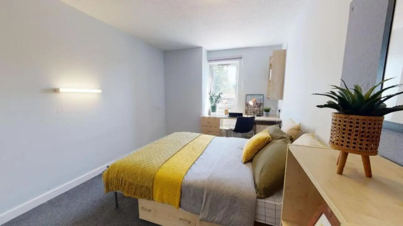 Bed desk plant and mirror bedroom at iQ Fiveways House in Wolverhampton Student Accommodation