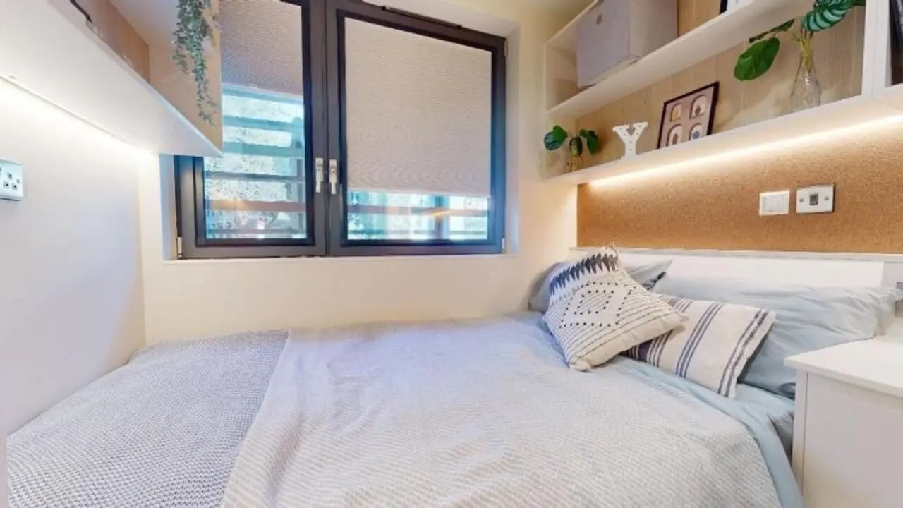 Bed with pillows window shelves and plants bedroom at iQ Paris Gardens in London Student Accommodation