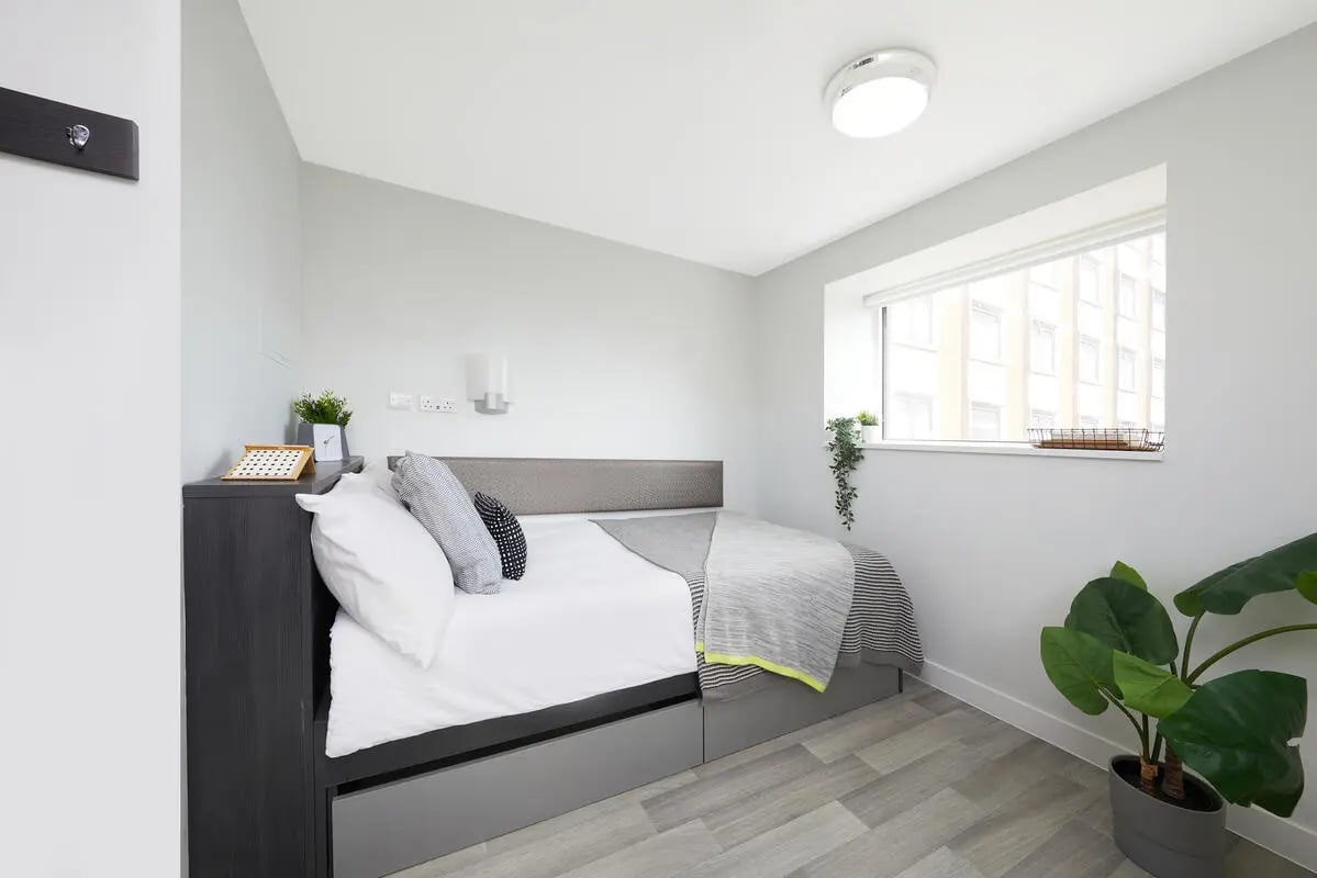 Bed with storage pillows blanket and plant bedroom at Collegiate Tower in Bristol Student Accommodation