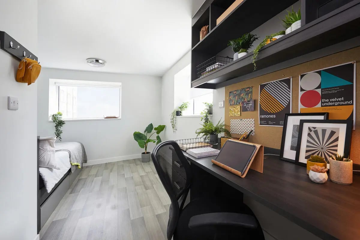 Bed desk plants and window student room at Collegiate Tower in Bristol Student Accommodation