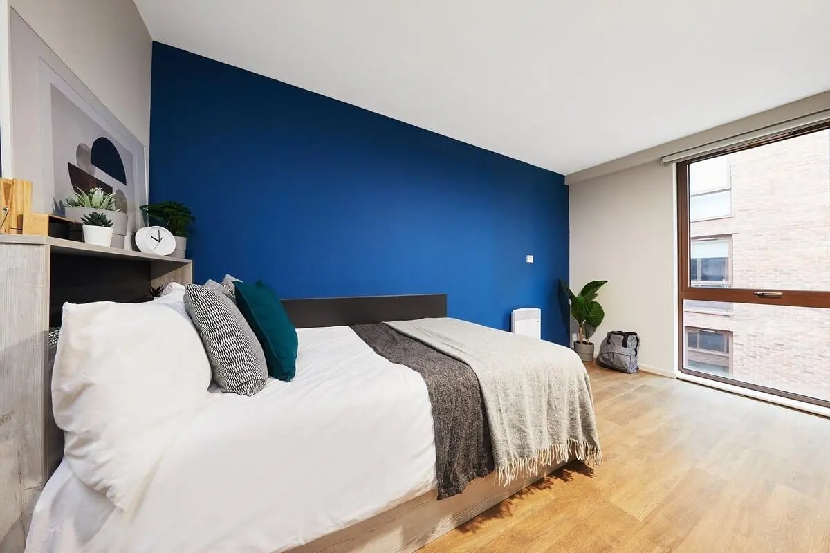 Bed with blue wall artwork plants and window bedroom at Tudor Place in Chester Student Accommodation