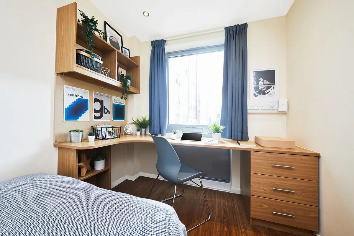 Desk chair laptop plants shelving study area at Collegiate Athena Hall in Ipswich Student Accommodation