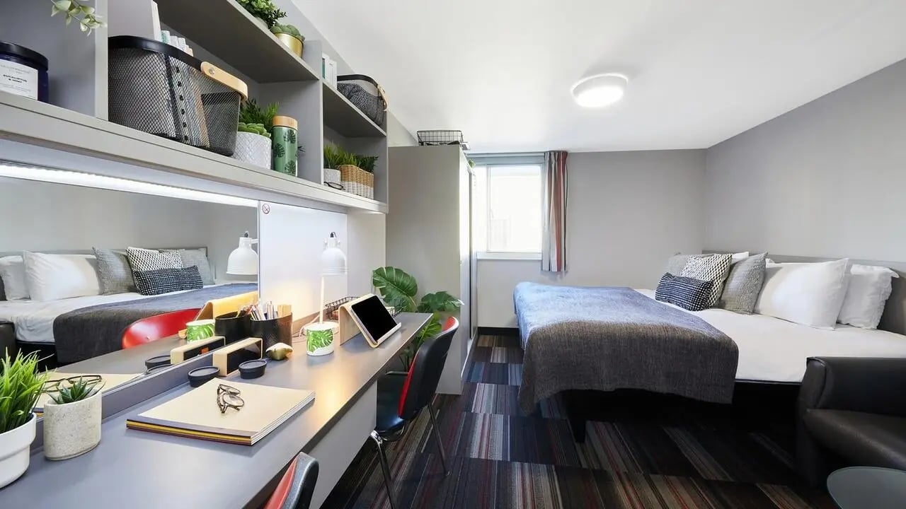 Desk bed shelves and plants bedroom at The Moor in Sheffield Student Accommodation