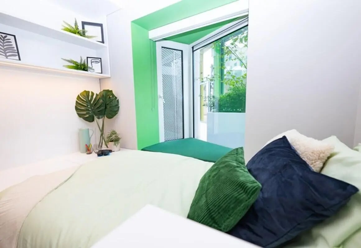Bed plants shelves and window bedroom at Stephen's Quarter in Dublin Student Accommodation