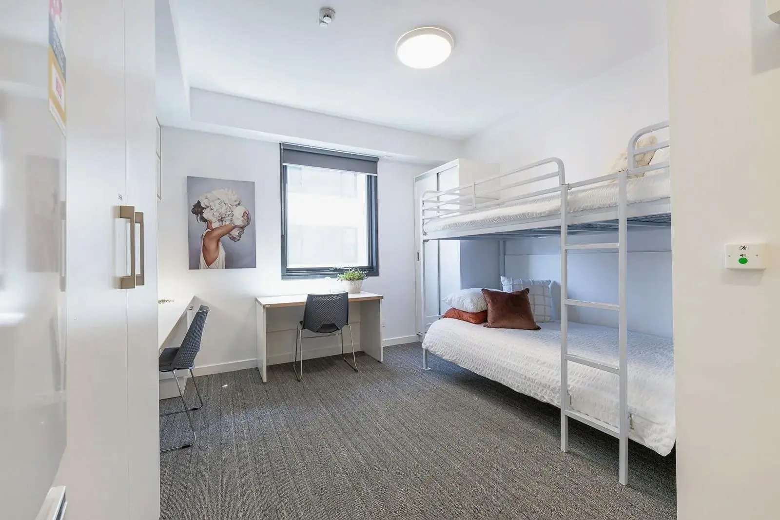 Bunk beds and desks in student bedroom at dwell East End Adelaide in Adelaide Student Accommodation