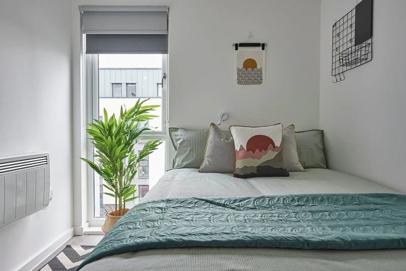 Bed with green blanket plant window art bedroom at The Quarry in Falmouth Student Accommodation