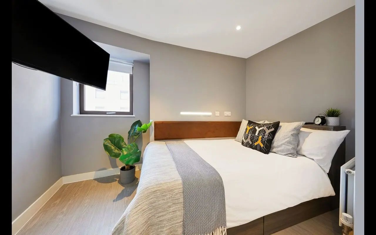 Bed with patterned pillows wall TV plant bedroom at Collegiate Nova in Nottingham Student Accommodation