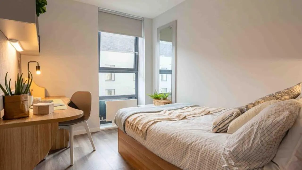 Bed desk chair plant lamp mirror Bedroom at iQ Sterling Court in London Student Accommodation