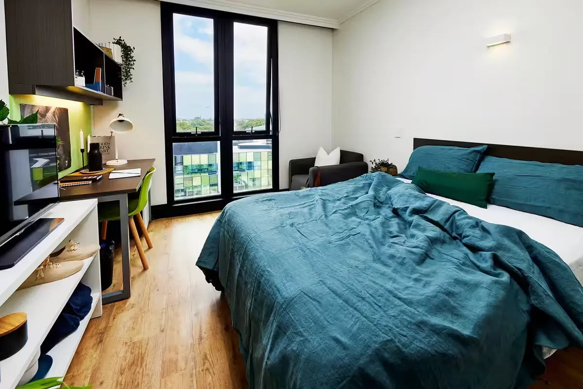 Bed desk chair shelves and large window bedroom at Scape at University of Sydney in Sydney Student Accommodation