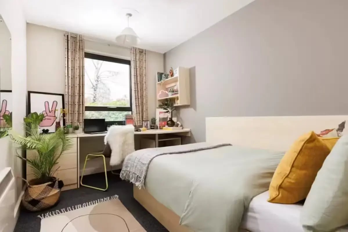 Bed desk chair plant and window bedroom at The Anvil in Sheffield Student Accommodation