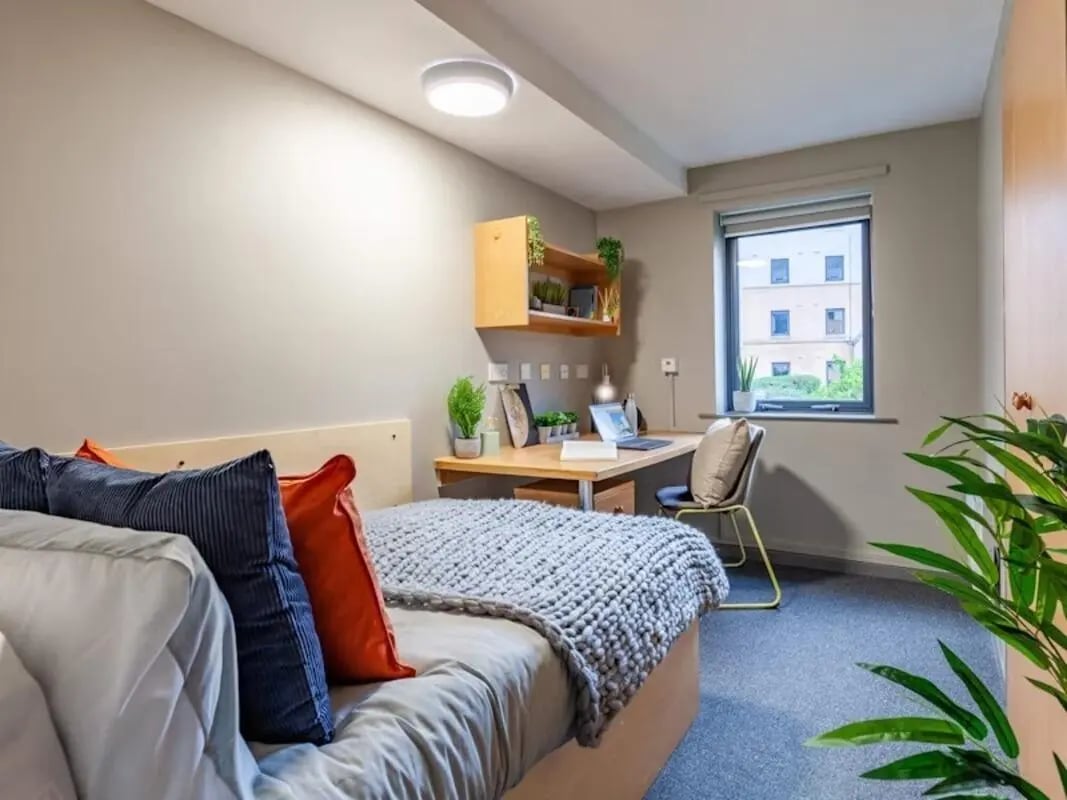 Bed desk chair shelf plants window bedroom study area at Devonshire Courtyard in Sheffield Student Accommodation