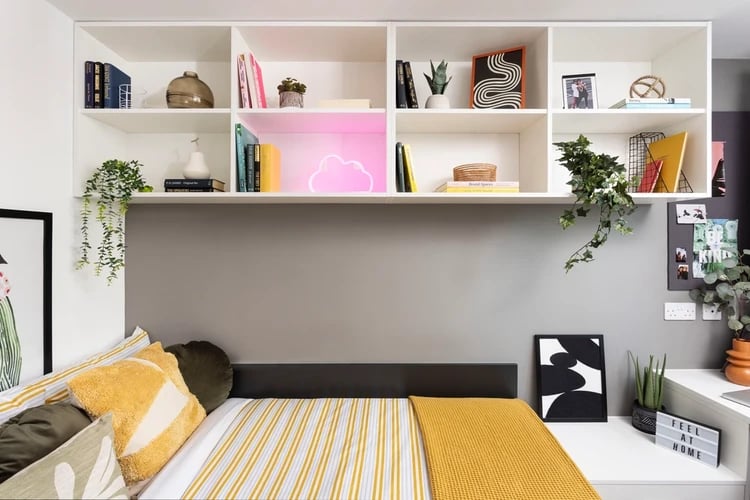 Books plants and cloud light above bed bedroom at Artisan Heights in Manchester Student Accommodation