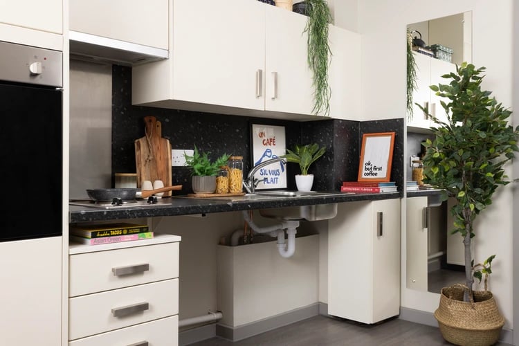 Oven hob sink cabinets and plants kitchen at Salisbury court in Edinburgh Student Accommodation