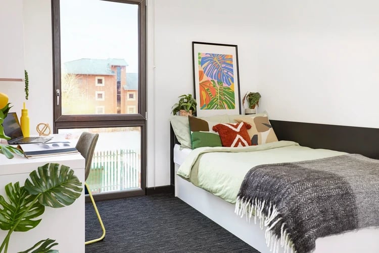 Bed desk plants artwork bedroom at Athena Studios in Birmingham Student Accommodation