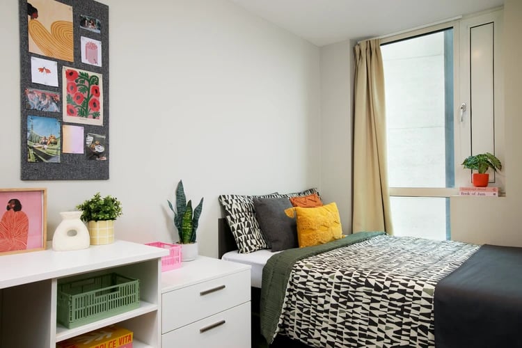 Bed desk artwork and plants bedroom at Stapleton House in London Student Accommodation