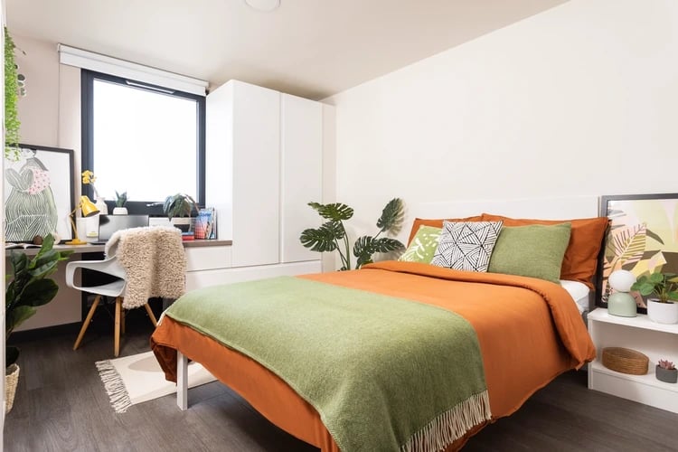 Bed desk wardrobe and plant bedroom at Brass Founders in Sheffield Student Accommodation
