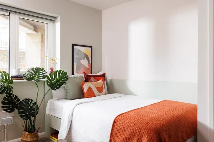 Bed pillows plants art window bedroom at The Bridge House in Edinburgh Student Accommodation