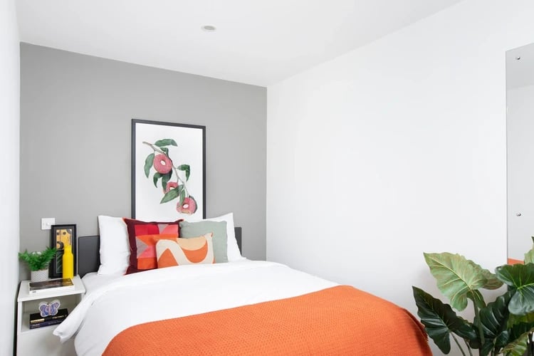 Bed with artwork and plant bedroom at Morriss House in Nottingham Student Accommodation