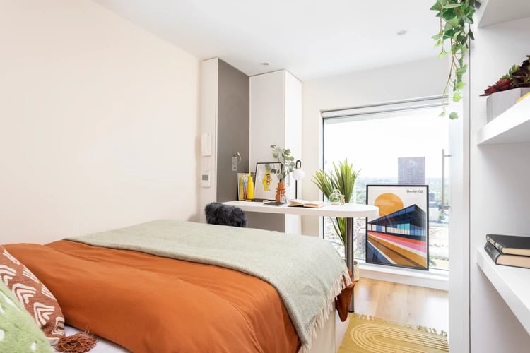 Bed desk plant artwork and cityscape bedroom at Bridgewater Heights in Manchester Student Accommodation