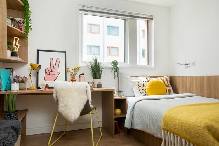 Desk bed plants and window bedroom at North Lodge in London Student Accommodation