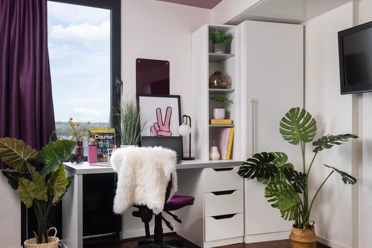 Desk chair wardrobe plants artwork study area exterior at Wellington St Plaza in Newcastle Upon Tyne Student Accommodation