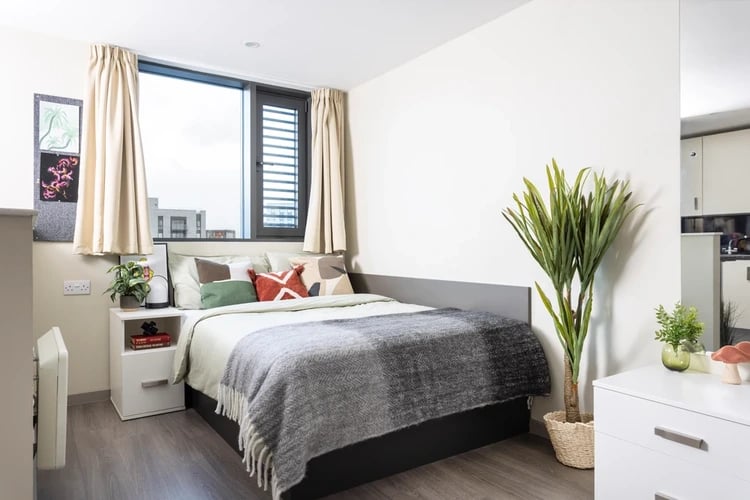 Bed bedside table plant and heater bedroom at Olympic Way in London Student Accommodation