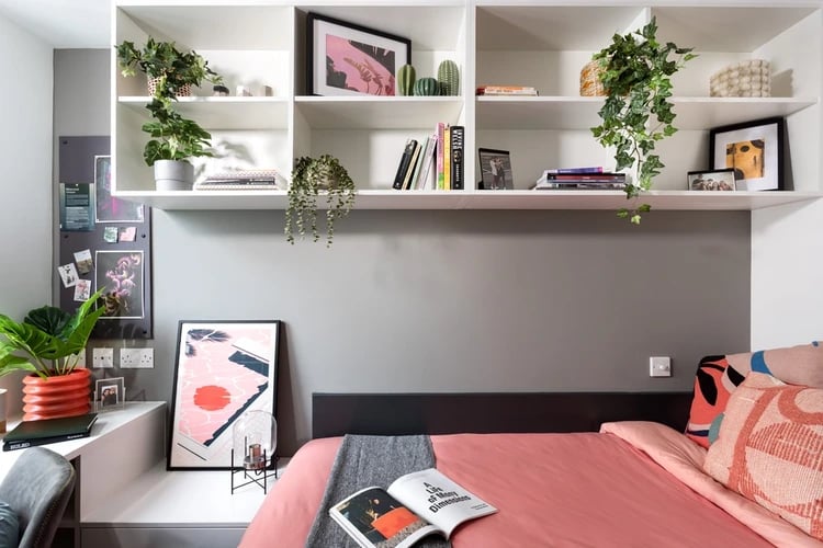 Desk, bed, shelves, plants, books bedroom at White Rose View in Leeds Student Accommodation
