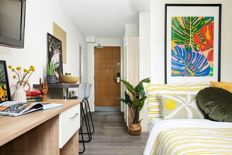 Desk stool plants artwork and bed bedroom at Elizabeth Croll House in London Student Accommodation
