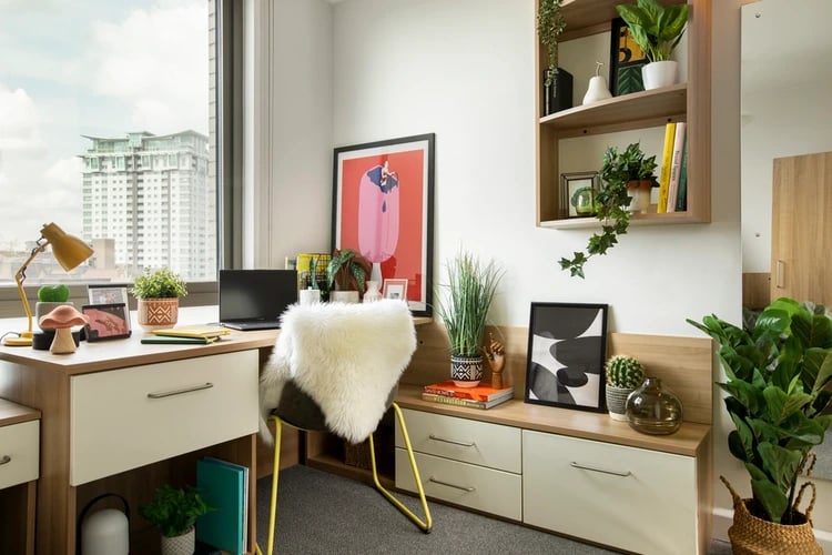 Desk laptop plants chair art study area at Wellington Lodge in London Student Accommodation