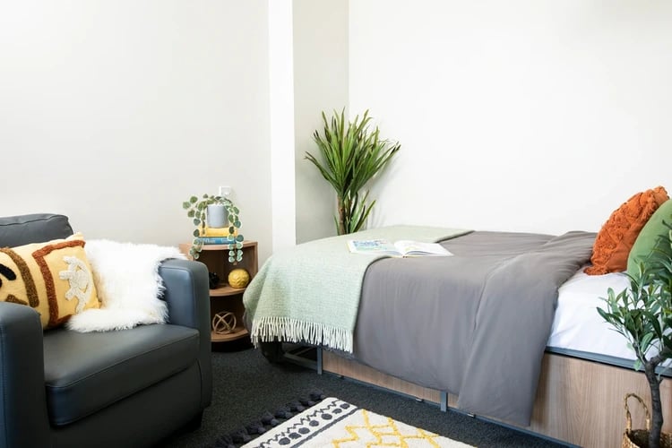 Chair bed plant and bookshelf bedroom at Emily Bowes Court in London Student Accommodation