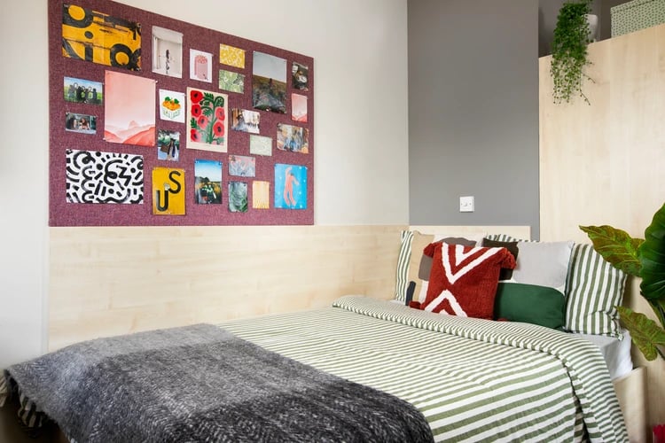 Bed with art covered bulletin board bedroom at Pacific Court in London Student Accommodation