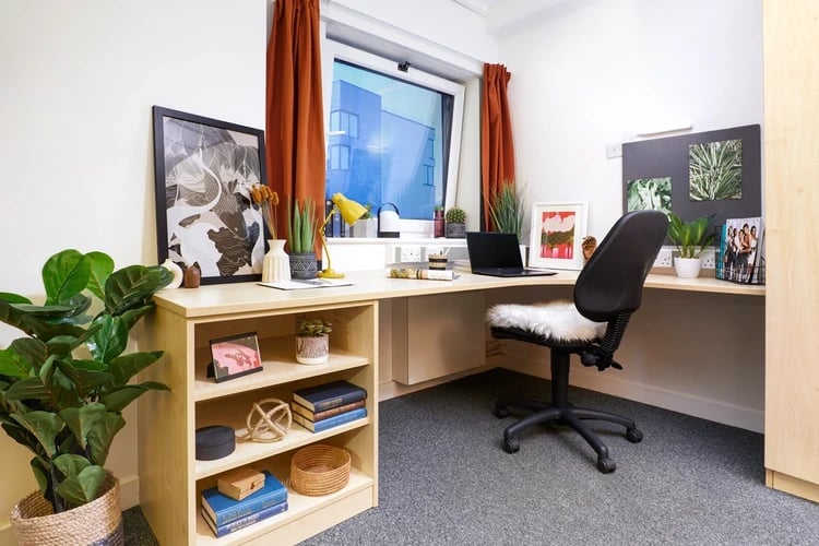 Desk plant artwork laptop chair and shelving study area at Harriet Martineau in Birmingham Student Accommodation