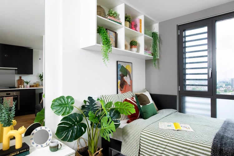 Bed with striped bedding and plants bedroom at Hayloft Point in London Student Accommodation