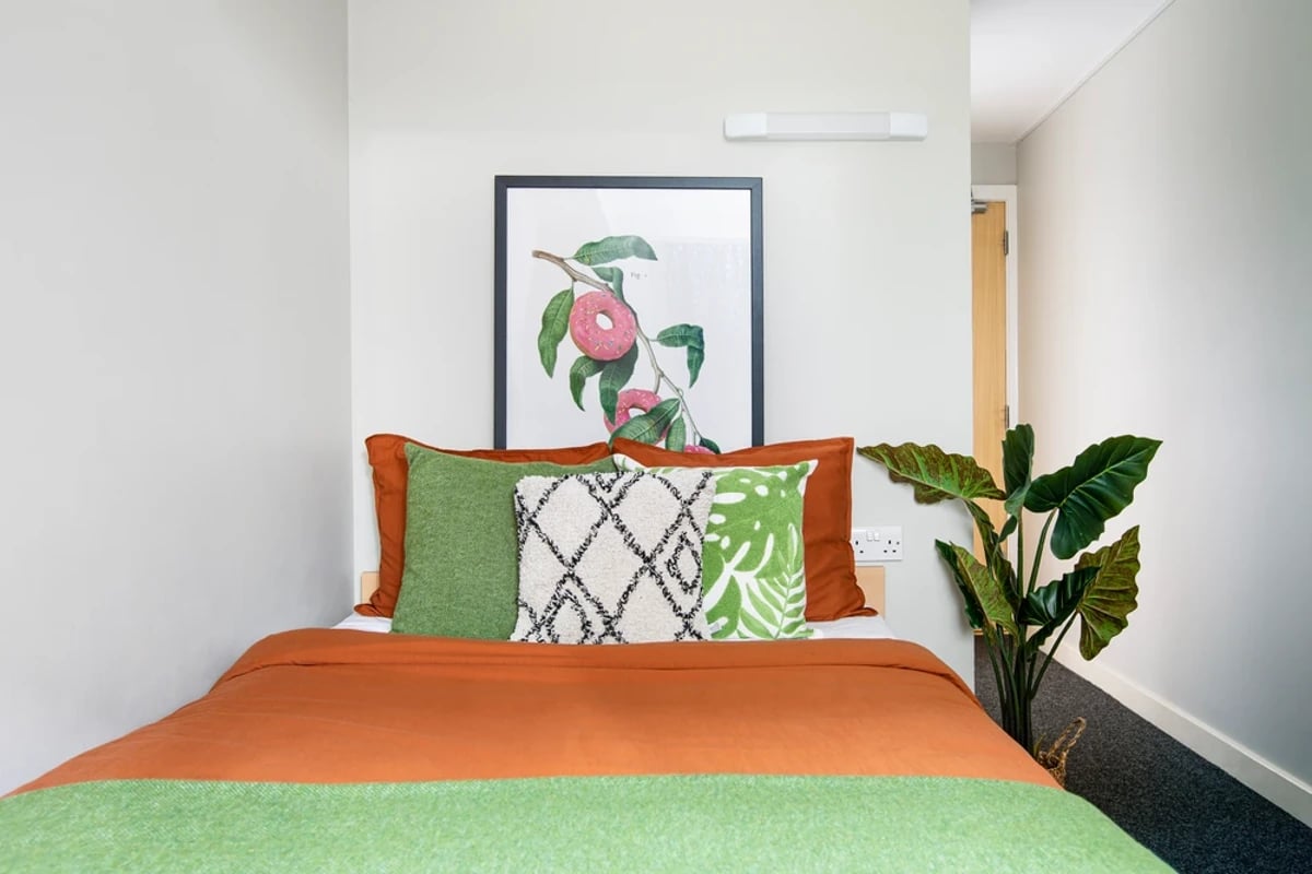 Bed with pillows artwork and plant bedroom at Kyle Park House in Glasgow Student Accommodation