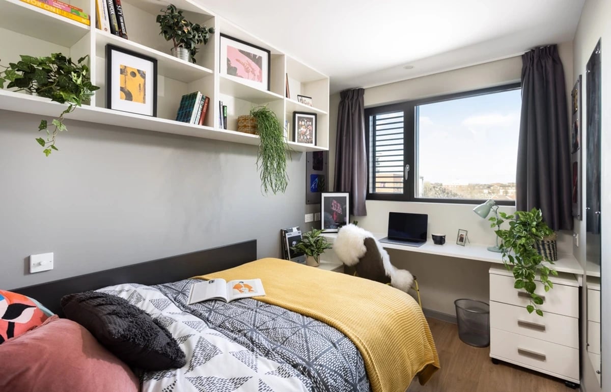 Bed desk shelves plants laptop framed art bedroom at Chaucer House in Portsmouth Student Accommodation