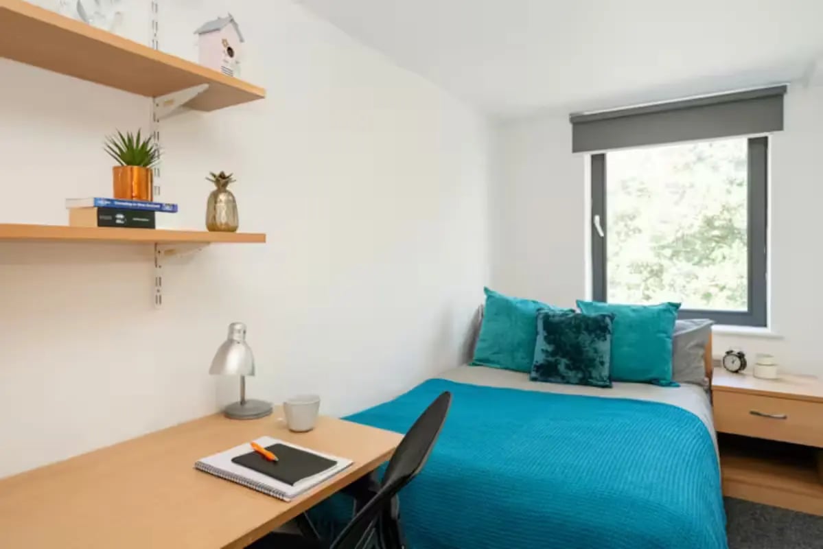 Bed desk shelves and pillows bedroom at Central Place in Sheffield Student Accommodation