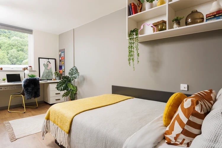 Bed desk plants and shelves bedroom at Houghall Court in Durham Student Accommodation
