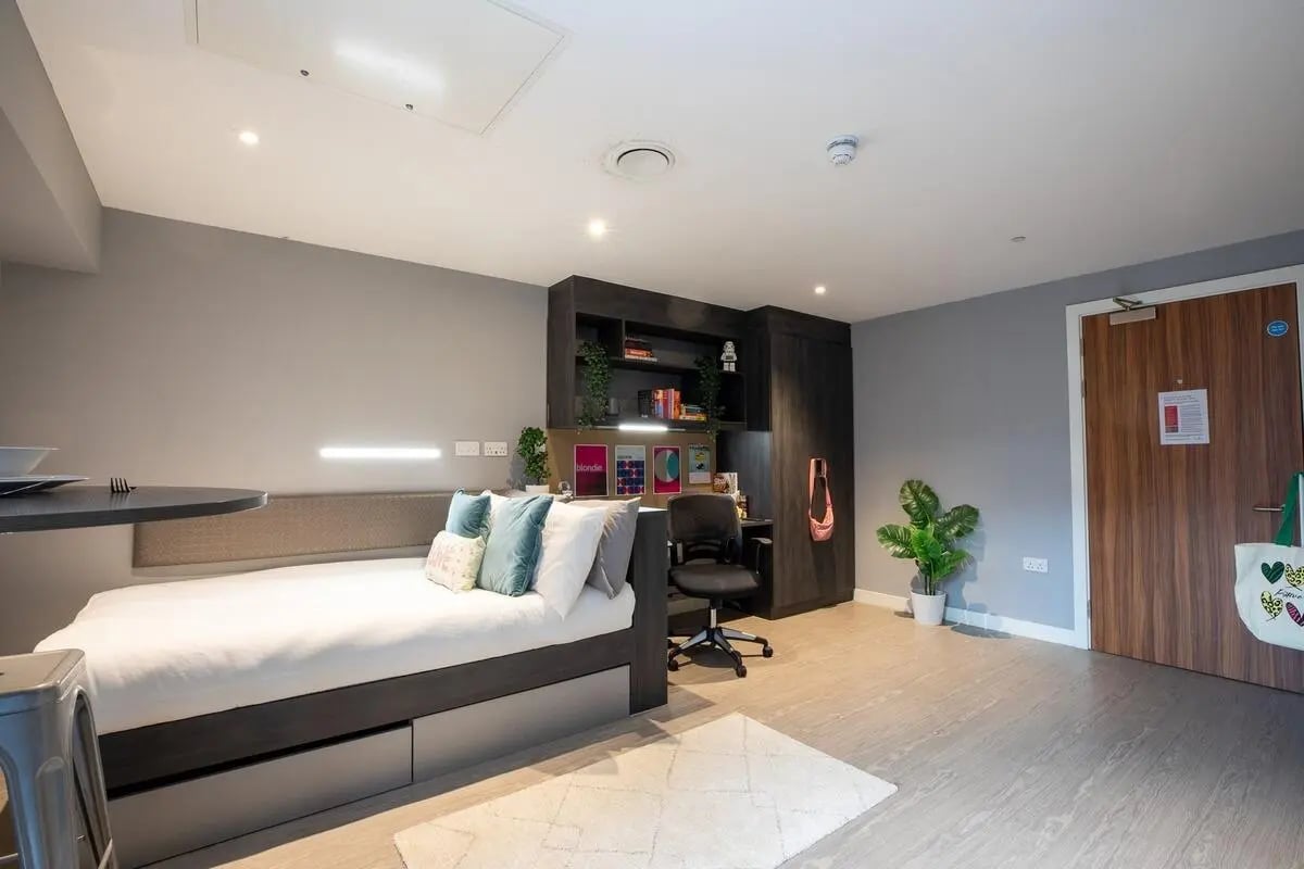 Bed desk chair plant wooden door bedroom at Collegiate Plummer House in Newcastle Upon Tyne Student Accommodation