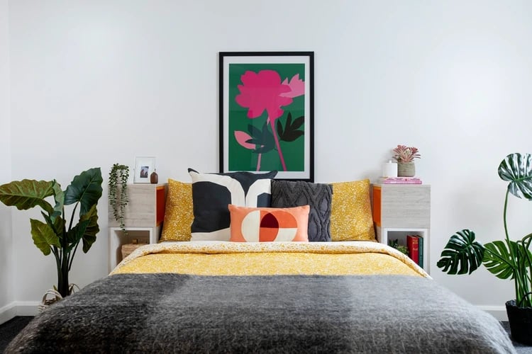 Colorful pillows on bed with plants and art Bedroom at Cambrian Point in Cardiff Student Accommodation