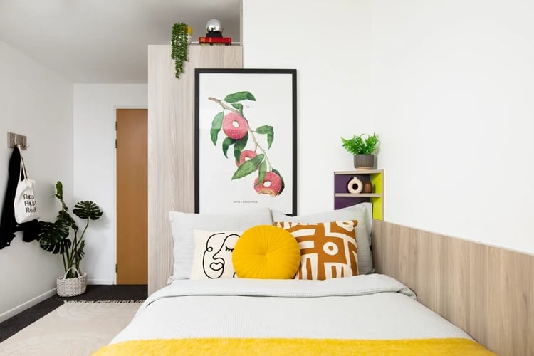 Bed with framed art plant and hooks bedroom at Ty Pont Haearn in Cardiff Student Accommodation