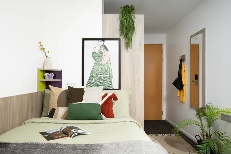 Bed with cushions artwork and plant bedroom at Ty Pont Haearn in Cardiff Student Accommodation